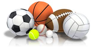 Image result for multi-sports